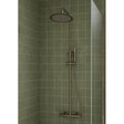 Aquarius Shower Set Aquarius Zanelli Round Exposed Valve Adjustable Shower Set in Brushed Bronze