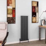 Eastbrook Panel Radiator 1200 x 375 / Central Heating Eastbrook Charlton Vertical Aluminium Designer Radiator in Matt Anthracite