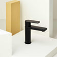 Roca Mono Basin Tap Matt Black Roca Cala Cold Start Basin Mixer Tap