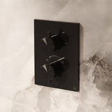 Crosswater Concealed Shower Valve Stainless Slate Crosswater 3ONE6 Lever Crossbox 2 Outlet Multi-Flow Trimset