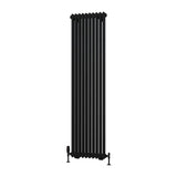 Eastbrook Column Radiator Eastbrook Rivassa Traditional 2 Column Radiator in Matt Black