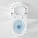 Imex Wall Hung Toilet Imex Luna Rimless UltraVortex Wall Hung Toilet with Soft Close Seat