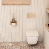 Imex Wall Hung Toilet Imex Essence Wall Hung Toilet with Soft Close Seat