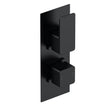 Aquarius Bathrooms Concealed Shower Valve Matt Black Aquarius Tetra 2-Outlet Thermostatic Concealed Valve with Diverter