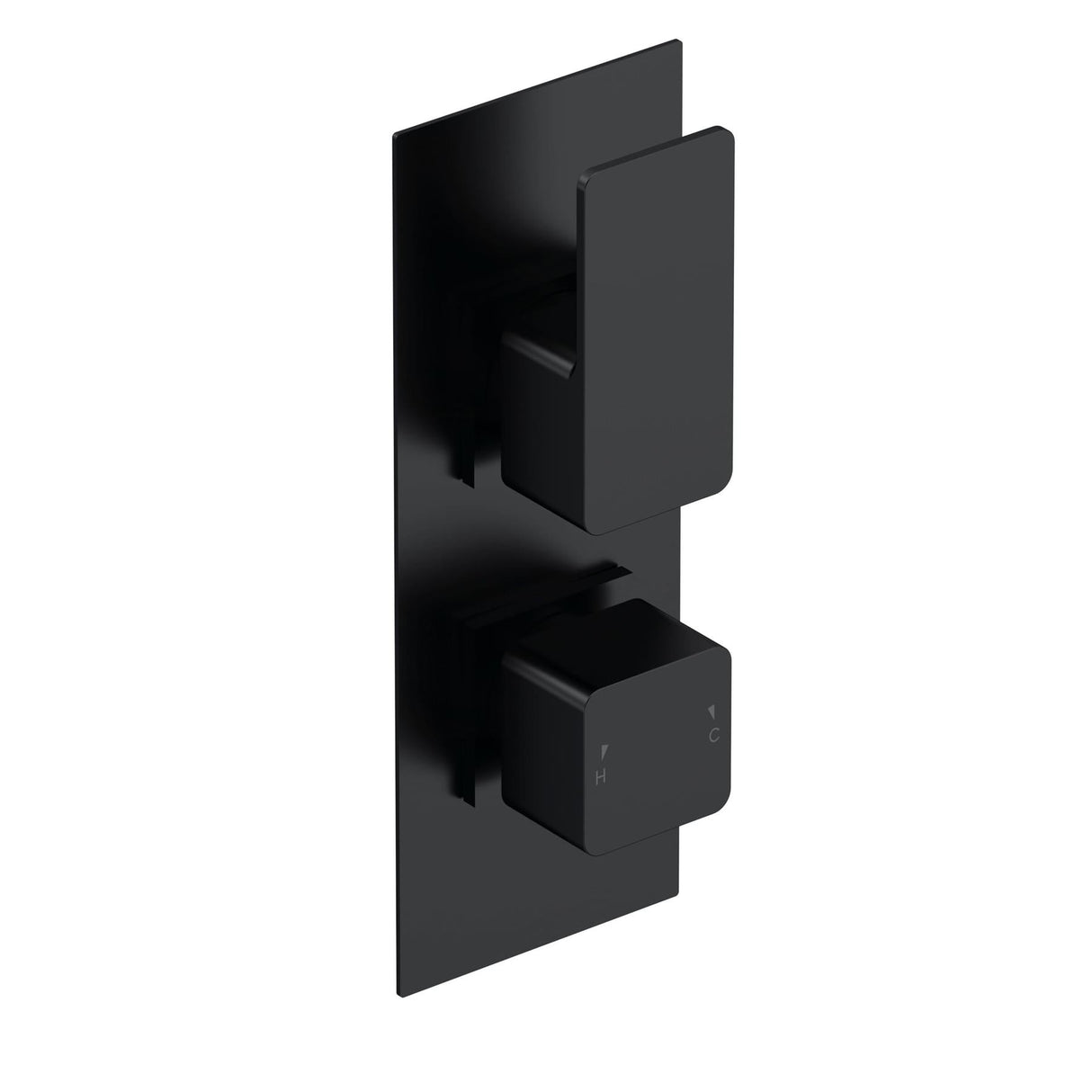 Aquarius Bathrooms Concealed Shower Valve Matt Black Aquarius Tetra 2-Outlet Thermostatic Concealed Valve with Diverter