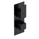 Aquarius Bathrooms Concealed Shower Valve Matt Black Aquarius Tetra 2-Outlet Thermostatic Concealed Valve with Diverter