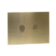 JTP Flush Plate Brushed Brass JTP Metal Pneumatic Flush Plate