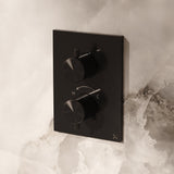 Crosswater Concealed Shower Valve Stainless Slate Crosswater 3ONE6 Lever 1 Outlet Trimset