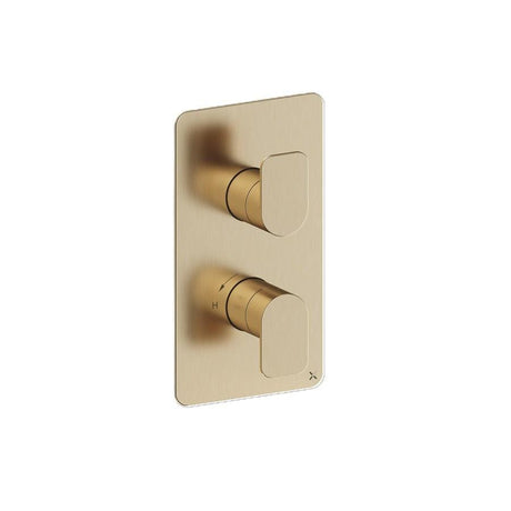 Crosswater Concealed Shower Valve Brushed Brass Crosswater Fuse 2 Outlet, 2 Handle Vertical Concealed Shower Valve