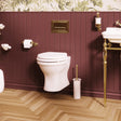 Burlington Wall Hung Toilet Burlington Guild Wall Hung Toilet