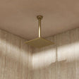 Crosswater Fixed Shower Head Brushed Brass / 200mm Crosswater Zion Fixed Shower Head