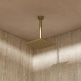 Crosswater Fixed Shower Head Brushed Brass / 200mm Crosswater Zion Fixed Shower Head