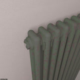 Eastbrook Column Radiator Eastbrook Rivassa Traditional 2 Column Radiator in Matt Anthracite