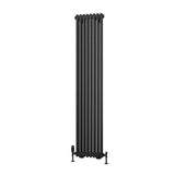 Eastbrook Column Radiator Eastbrook Rivassa Traditional 2 Column Radiator in Matt Anthracite