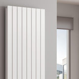 Reina Panel Radiator Reina Piatto Double Vertical Panel Central Heating Radiator