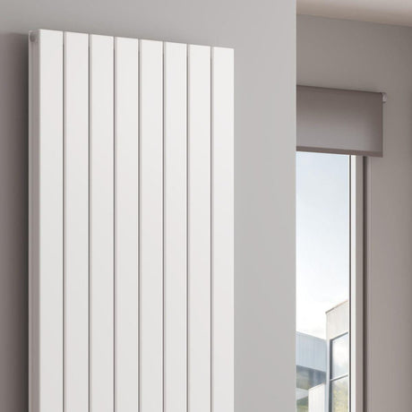 Reina Panel Radiator Reina Piatto Double Vertical Panel Central Heating Radiator
