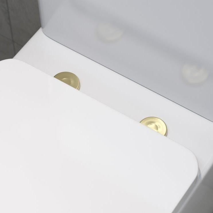 Aquarius Wall Hung Toilet Aquarius Urbano Rimless Wall Hung Toilet Pack with Frame, Flush Plate, Soft Closing Seat and Hinge Covers