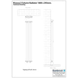 Eastbrook Rivassa Traditional 2 Column Radiator in Matt Anthracite