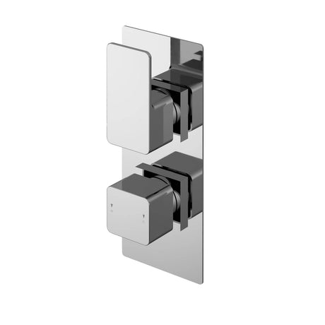 Aquarius Bathrooms Concealed Shower Valve Chrome Aquarius Tetra 2-Outlet Thermostatic Concealed Valve with Diverter