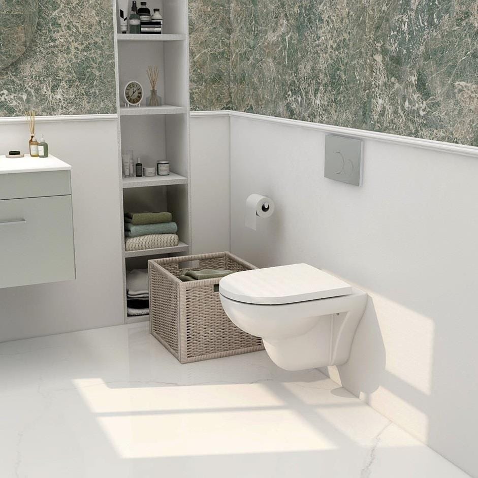 Aquarius Wall Hung Toilet Aquarius Ricardo Rimless Wall Hung Toilet with Soft Close Seat