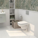 Aquarius Wall Hung Toilet Aquarius Ricardo Rimless Wall Hung Toilet with Soft Close Seat
