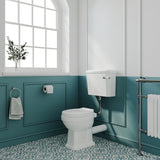 Aquarius Bathrooms Low Level Toilet Aquarius Harewood Traditional Low Level Toilet with Soft Close Seat