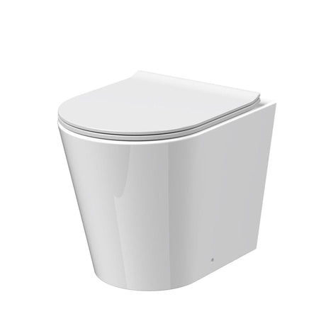 Aquarius Bathrooms Back To Wall Toilet Aquarius Metric Rimless Back to Wall Toilet with Soft Close Seat