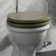 Burlington Toilet Seat Carlyle Green / Brushed Nickel Burlington Guild Close Toilet Seat