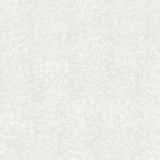 Multipanel Wall Panel Multipanel Classic Wall Panel in Frost White