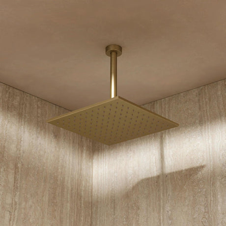 Crosswater Fixed Shower Head Brushed Brass / 300mm Crosswater Zion Fixed Shower Head