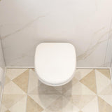 Imex Toilet Seat Imex Ivo Soft Close Duraplus Seat in White