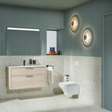 Roca Wall Hung Toilet Roca Optica Wall Hung Rimless Toilet with Soft Close Seat
