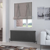 Eastbrook Rivassa Traditional 2 Column Radiator in Matt Anthracite