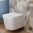 Saneux Wall Hung Toilet Saneux Matteo Wall Hung Rimless Toilet with Soft Close Seat