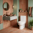 Aquarius Bathrooms Close Coupled Toilet Aquarius Cove Compact Rimless Flush to Wall Close Coupled Toilet with Soft Close Quick Release Seat