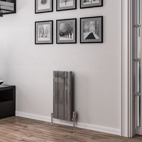 Eastbrook Panel Radiator 600 x 280 / Central Heating Eastbrook Peretti Straight Vertical Aluminium Radiator in Polished Aluminium