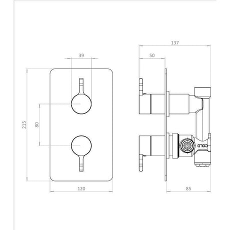 Britton Concealed Shower Valve Britton Hoxton 2.0 1 Outlet, 2 Handle Concealed Thermostatic Shower Valve in Brushed Brass