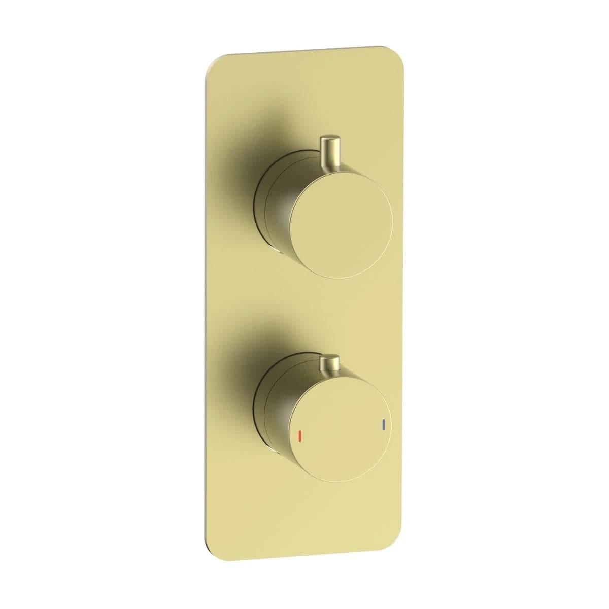 Aquarius Bathrooms Concealed Shower Set Aquarius RainLux 2 Outlet Thermostatic Shower Set with Shower Head and Single Function Handset