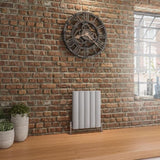 Eastbrook Panel Radiator 600 x 470 / Central Heating Eastbrook Guardia Straight Horizontal Aluminium in Matt Grey