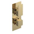 Aquarius Bathrooms Concealed Shower Valve Brushed Brass Aquarius Tetra 2-Outlet Thermostatic Concealed Valve with Diverter