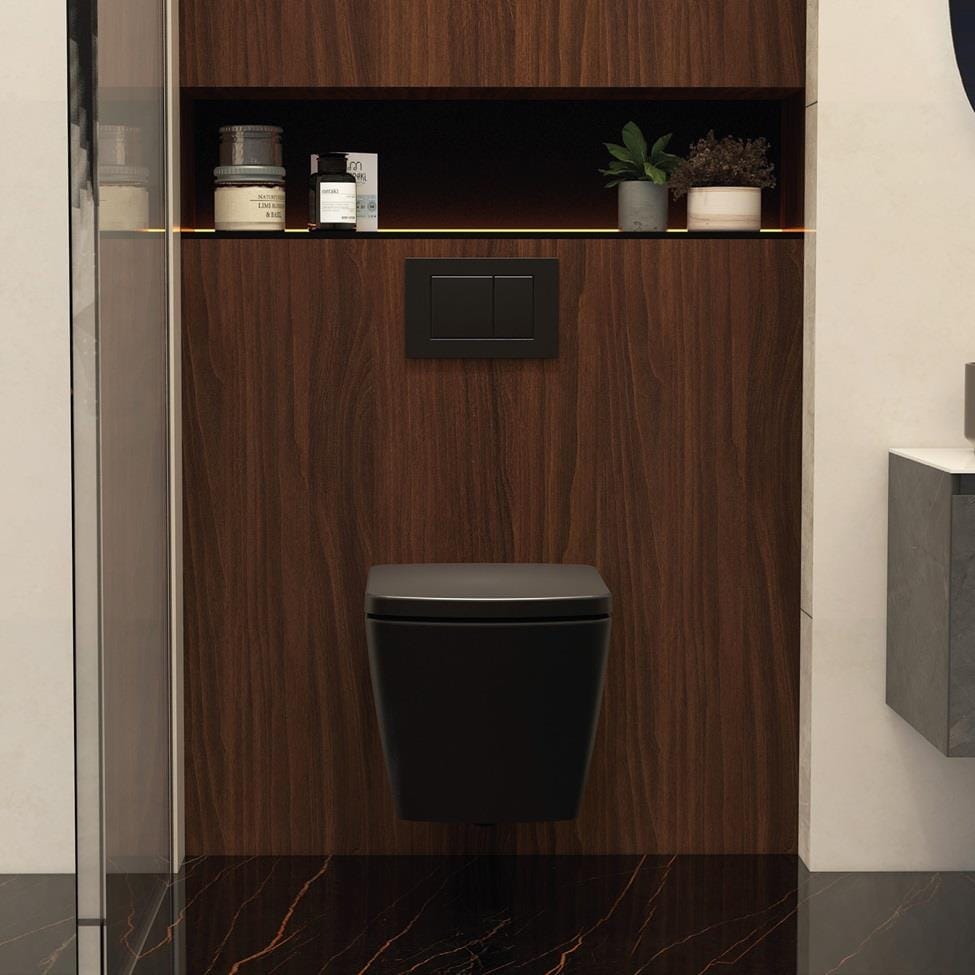 Aquarius Wall Hung Toilet Aquarius JF-Series Wall Hung Toilet with Soft Close Seat