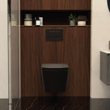Aquarius Wall Hung Toilet Aquarius JF-Series Wall Hung Toilet with Soft Close Seat