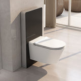 Imex Smart Toilet Imex Arco Wall Hung Rimless Smart Toilet