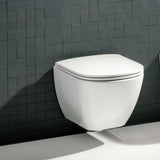 Laufen Wall Hung Toilet Laufen Lua Rimless Wall Hung Toilet with Soft Close Seat