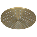 TED Fixed Shower Head Brushed Brass TED Universal 250mm Fixed Shower Head