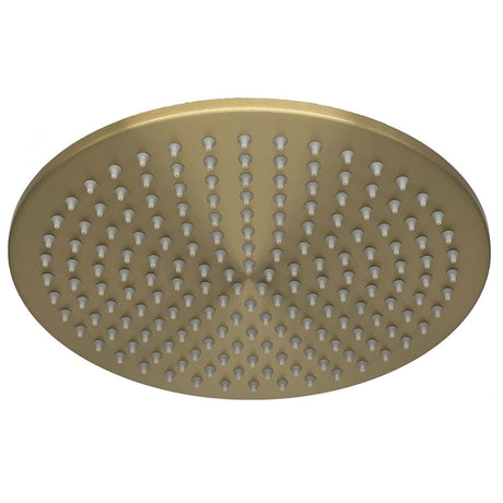 TED Fixed Shower Head Brushed Brass TED Universal 250mm Fixed Shower Head