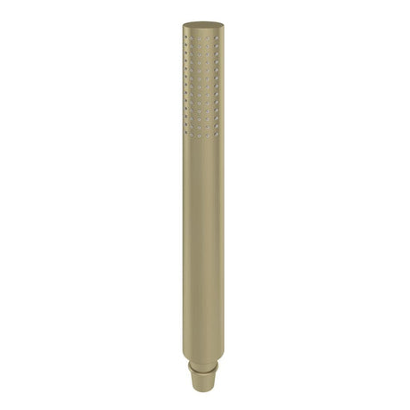 Aquarius Shower Handset Brushed Brass Aquarius Modern Round Shower Handset