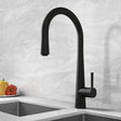 Aquarius Kitchen Tap Black Aquarius TrueCook - Series 9 - Pullout Single Lever Kitchen Mixer Tap