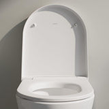 Laufen Toilet Seat Laufen Pro X Soft Close Toilet Seat in White