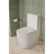 Saneux Close Coupled Toilet Saneux Uni Rimless Close Coupled Toilet - White - 66070